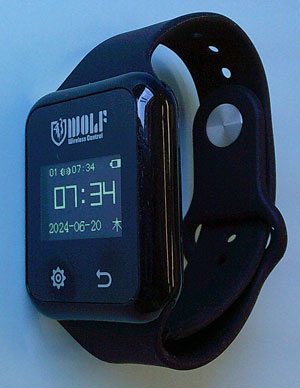 腕時計型レシーバー